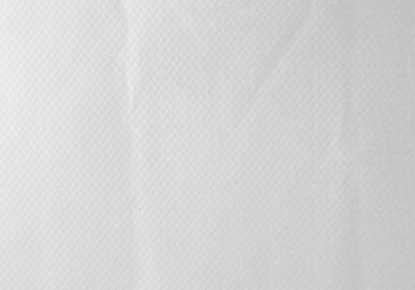 Immagine di TOVAGLIETTA CARTA BIANCA 33x50cm  