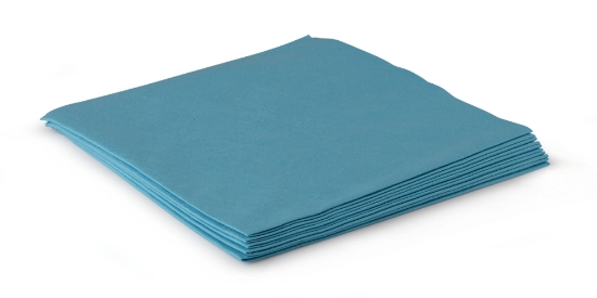 Immagine di 127562 PANNO MICROEVOLUX BLU 40x42cm