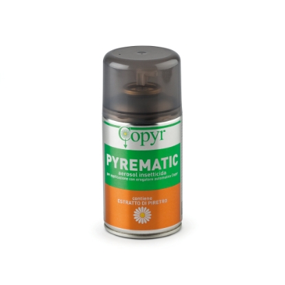Immagine di BOMB. PYREMATIC ml.250  