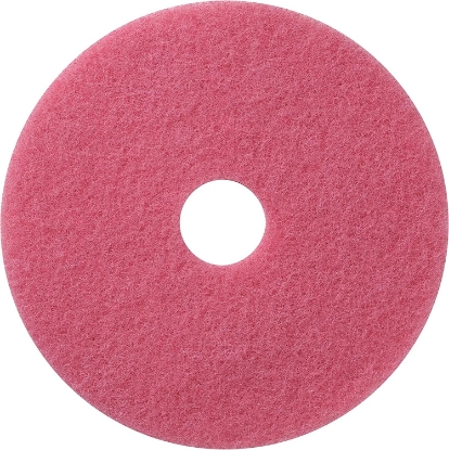 Immagine di DISCO FLAMINGO AUTOSCRUB 480 mm (19 POLLICI)