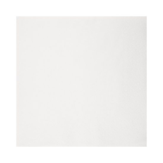 Immagine di TOVAGLIOLO BIANCO 2 VELI ECOLABEL 40x40cm