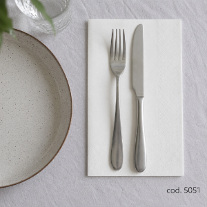 Immagine di TOVAGLIOLO BIANCO 2 VELI ECOLABEL 40x40cm