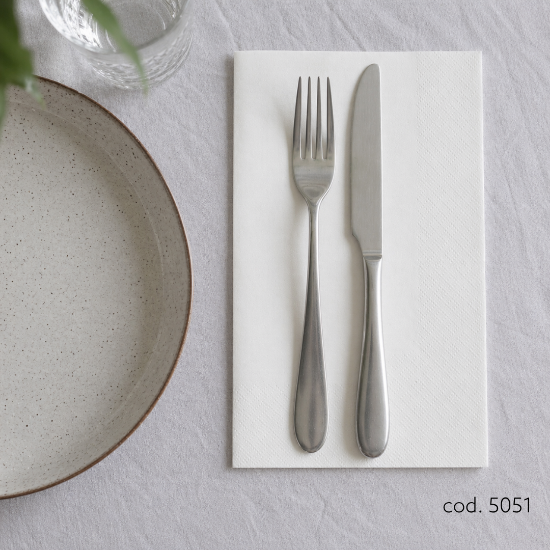 Immagine di TOVAGLIOLO BIANCO 2 VELI ECOLABEL 40x40cm