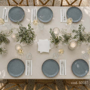 Immagine di TOVAGLIOLO BIANCO ECOLABEL 2 VELI 33x33cm