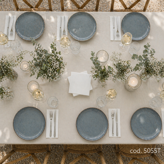 Immagine di TOVAGLIOLO BIANCO ECOLABEL 2 VELI 33x33cm