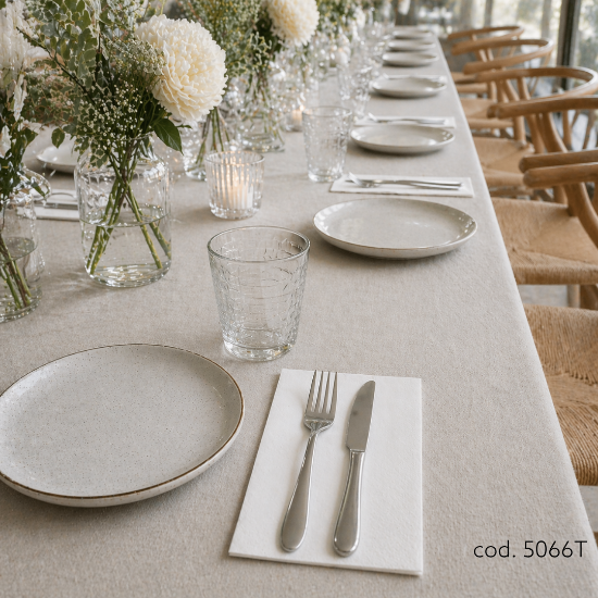 Immagine di 32560 TOVAGLIOLO BIANCO ECOLABEL 1 VELO 27x30cm