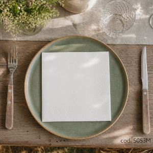 Immagine di 32996 TOVAGLIOLO BIANCO ECOLABEL 1 VELO 30x30cm
