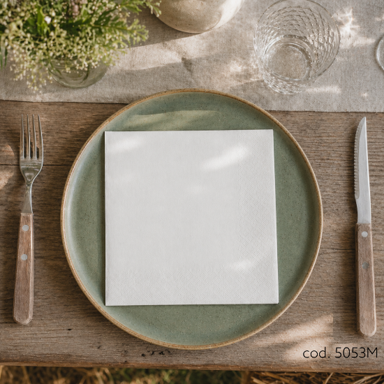 Immagine di 32996 TOVAGLIOLO BIANCO ECOLABEL 1 VELO 30x30cm