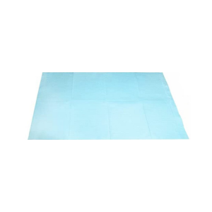 Immagine di SALVIETTE PER DENTISTI CARTA + PE AZZURRE 33x46cm