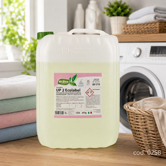 Immagine di UP 2 ECOLABEL ALCALINIZZANTE tanica kg.24