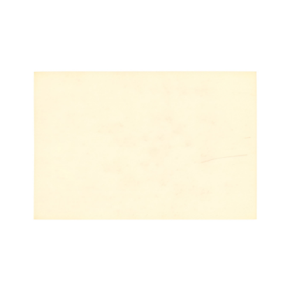 Immagine di TOVAGLIETTA TNT CREMA 33x45cm