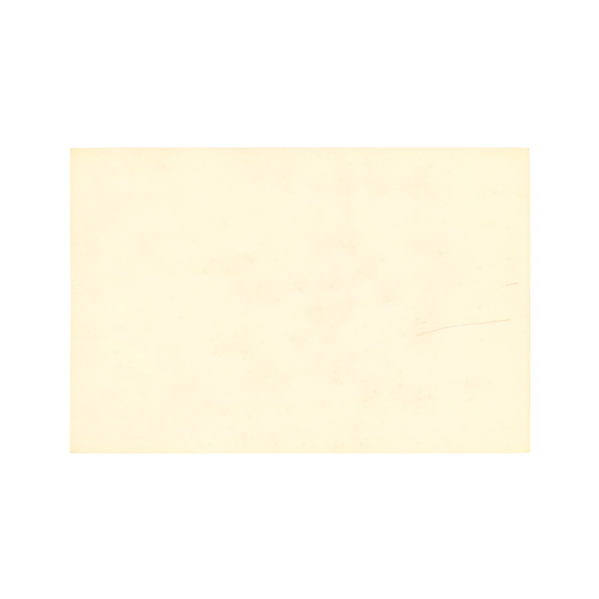 Immagine di TOVAGLIETTA TNT CREMA 33x45cm